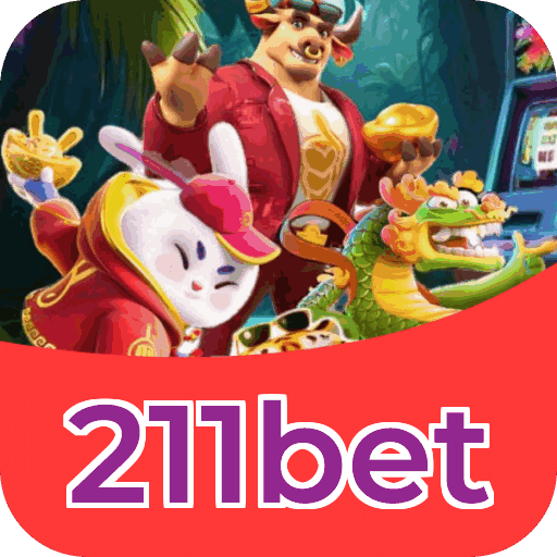 Interface 211bet